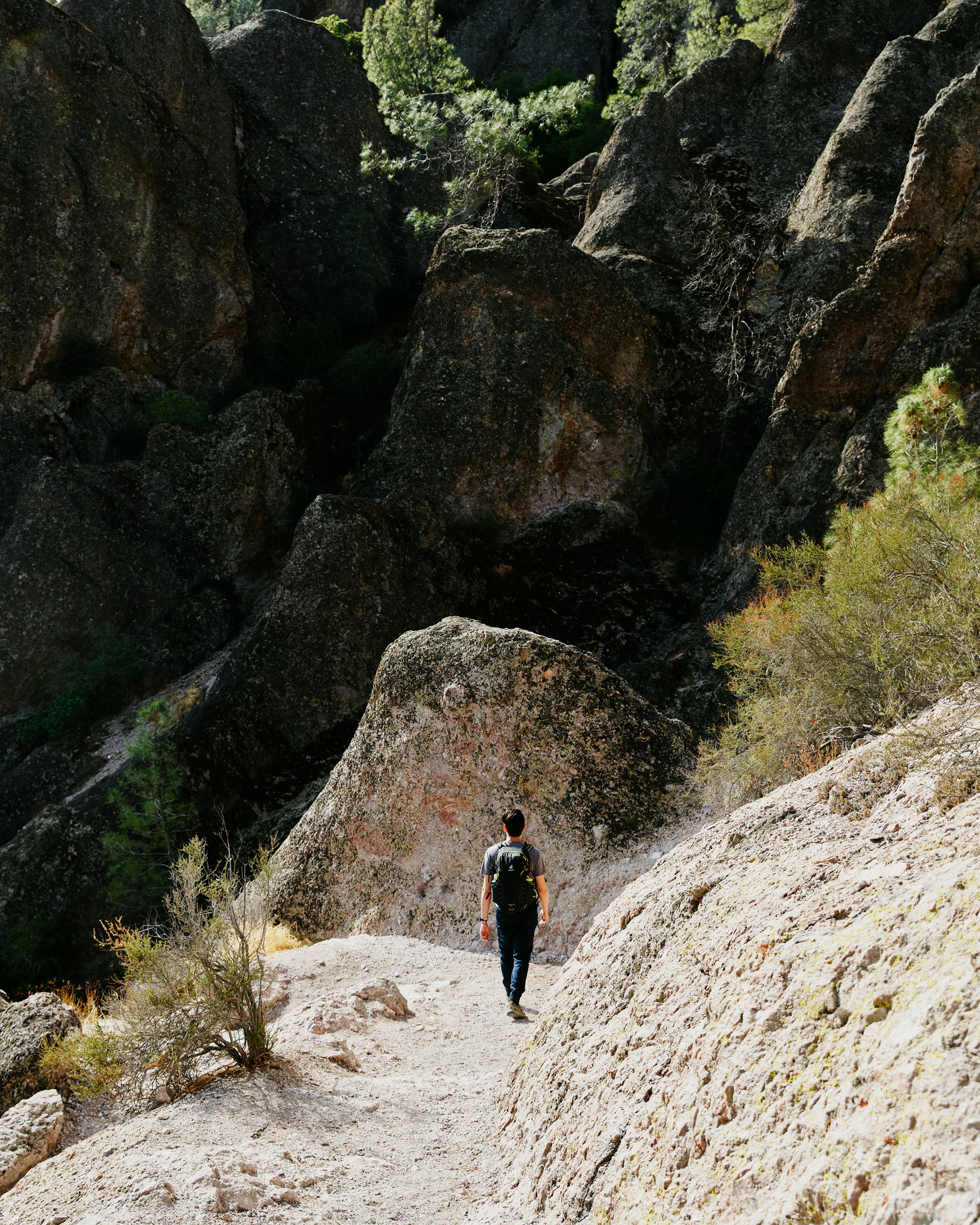211031_Pinnacles_438