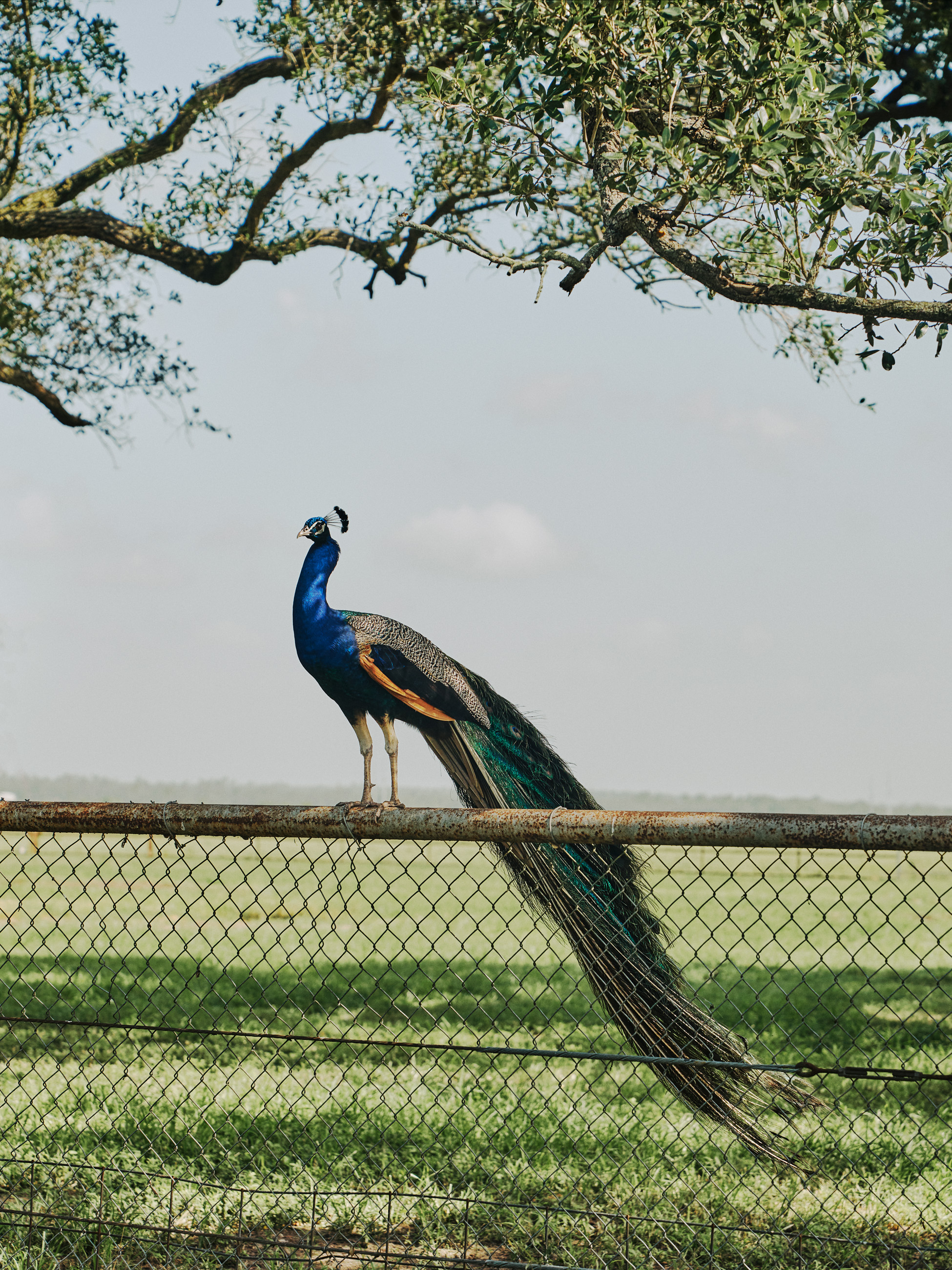 220715_Wired_LakeCharles_1298_f_test1